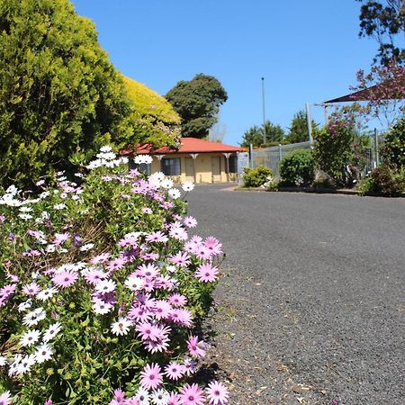 Colonial Motor Inn Pambula Εξωτερικό φωτογραφία